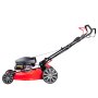 Газонокосилка бензиновая самоходная с двигателем FUBAG Honda FPL 56 SMH в Туле фото