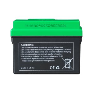 Аккумулятор FUBAG li-ion 3Ah для инверторного генератора TI 11000 A ES (арт. 646211) купить в Туле